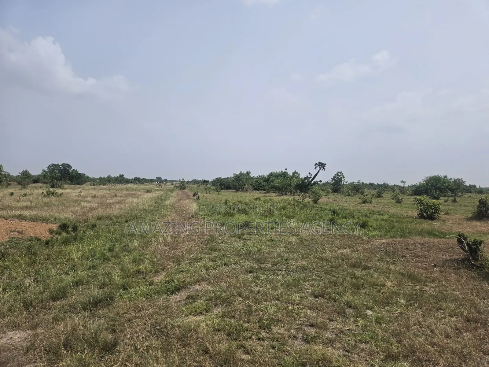 1000 Acres of Land at Dodowa Fiakonya Per Acre Is 800,000ghc