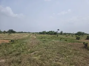 1000 Acres of Land at Dodowa Fiakonya Per Acre Is 800,000ghc