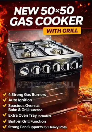 Gas Stove and Grill