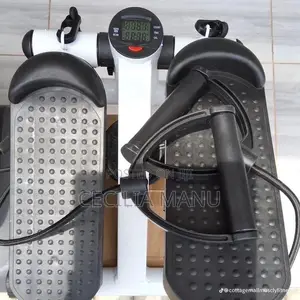 Mini Stepper