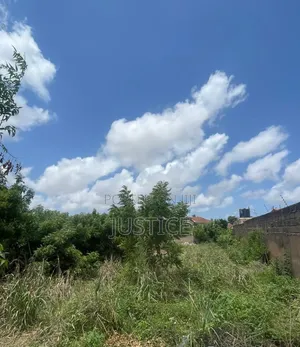 3 Plots of Land for Sale in Adjiringanor