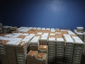Egg Depot Wholesale Retail