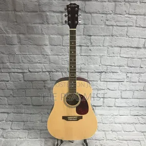 Carlo Robelli Crw410n Est 1932.New York Acoustic Guitar