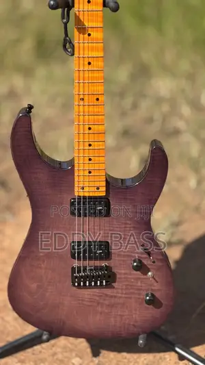New Luxars Electric Guitar