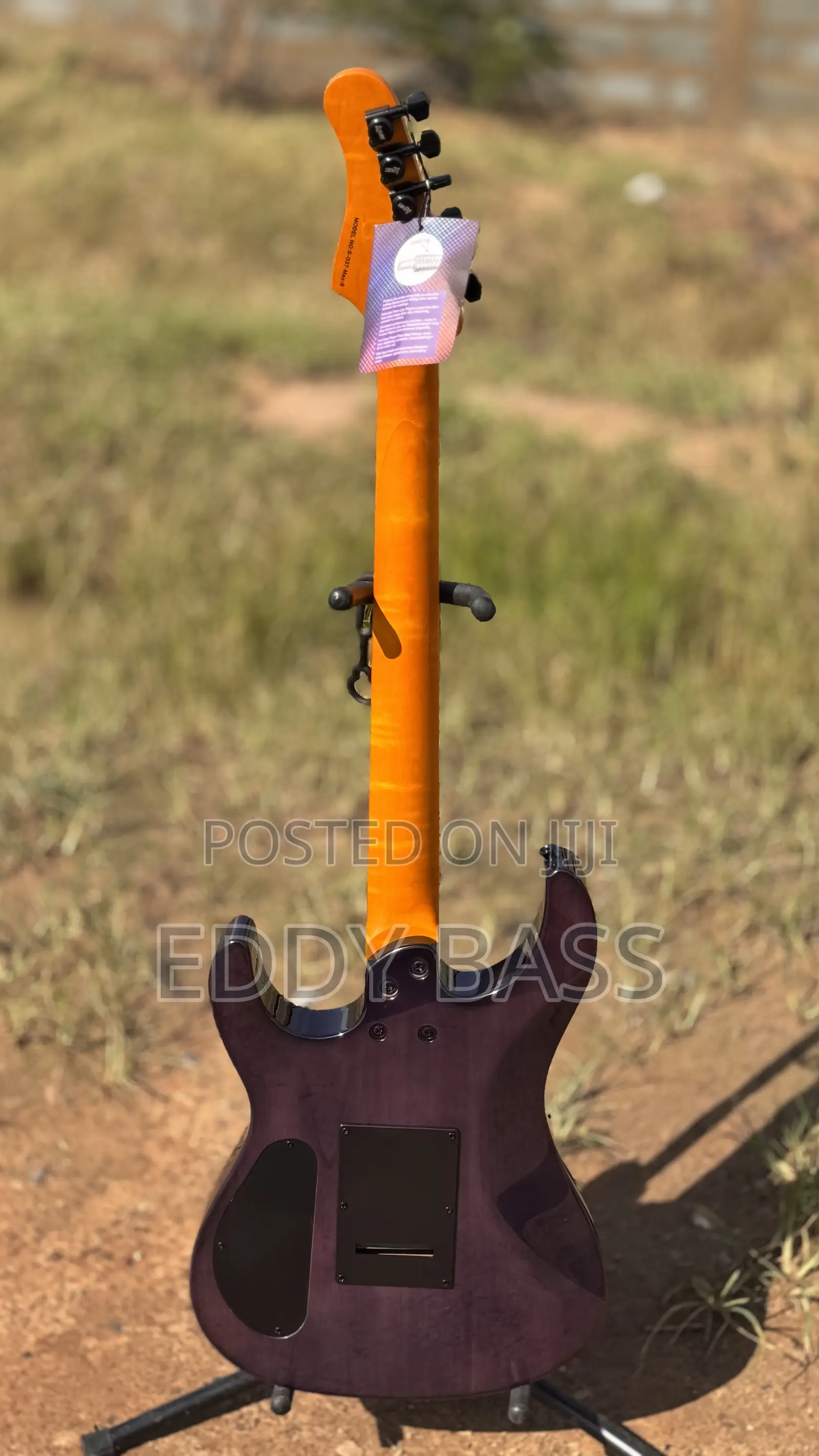New Luxars Electric Guitar