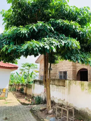 Furnished 5bdrm House in Madina for sale