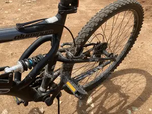 Mountain Bicycle