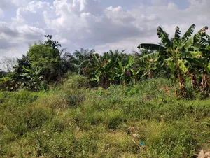 8plot of Land for Sale at West Trassaco