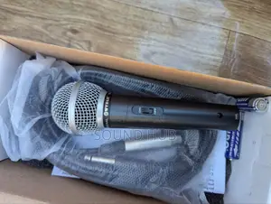 Professional Microphone