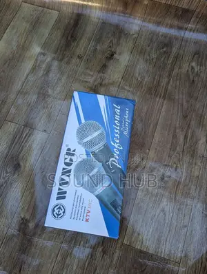 Professional Microphone