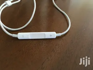 Apple Earbuds(3.5 Jack)
