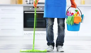 Professional Cleaning Services – Spotless Homes Offices!