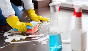 Home Cleaning Experts – Fast, Affordable Reliable