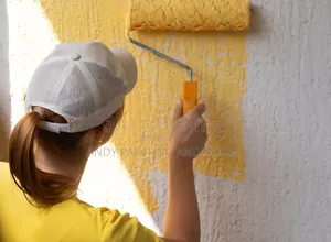 New Building Painting Experts