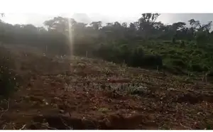 Registered Land for Sale: Aburi - Obosomase