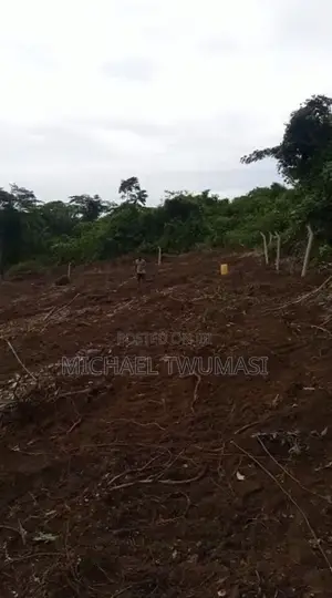 Registered Land for Sale: Aburi - Obosomase