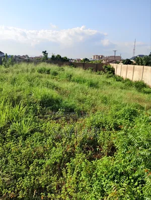 2 Plots for Sale at Manet Already Fenced With Gate Tittled