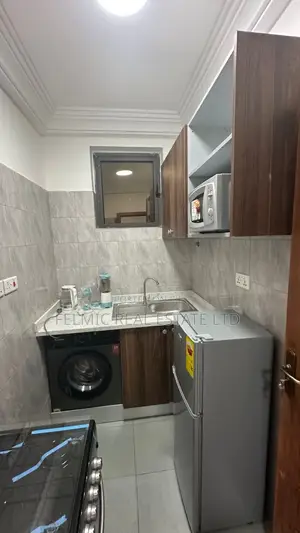 Furnished 1bdrm Apartment in Felmic Real Estate for rent