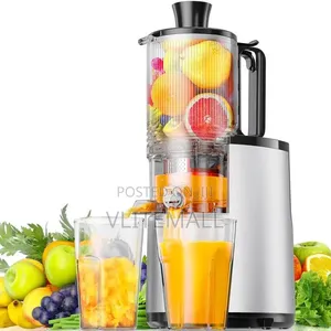 Avinass Slow Juicer With Multi Function