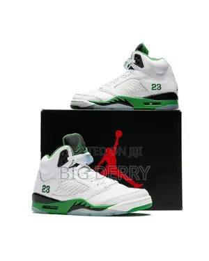 Air Jordan 5 in Different Colors