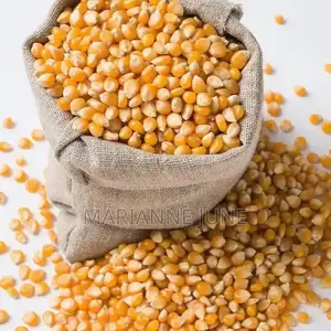 Yellow Corn