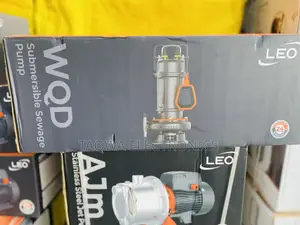 Sewage 1 Hp Leo Pump