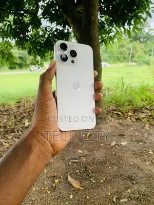 Apple iPhone 15 Pro Max 256 GB Silver