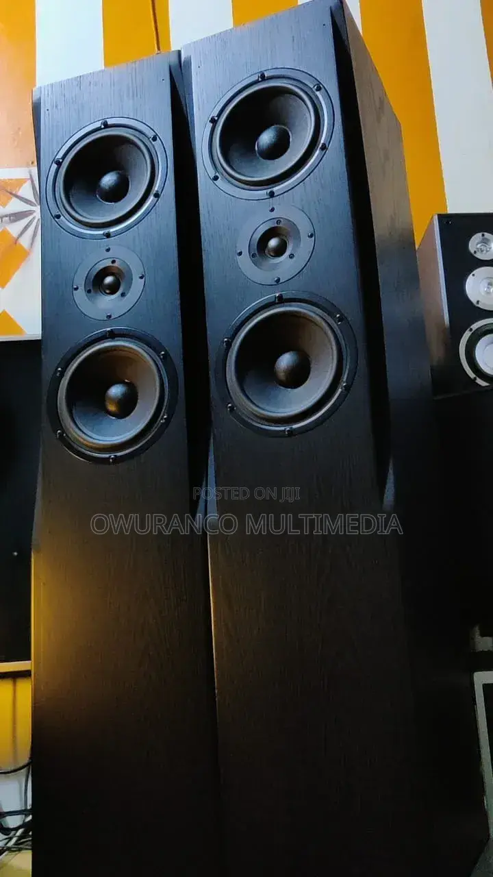 Fine Arts 30- Powerful Floor Standing Speakers