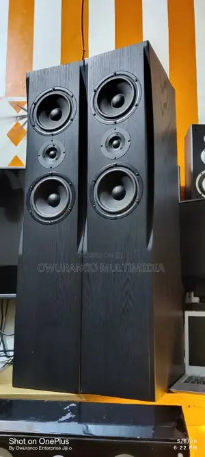 Fine Arts 30- Powerful Floor Standing Speakers