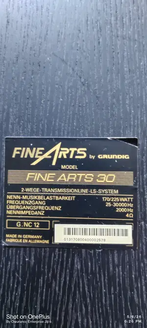 Fine Arts 30- Powerful Floor Standing Speakers