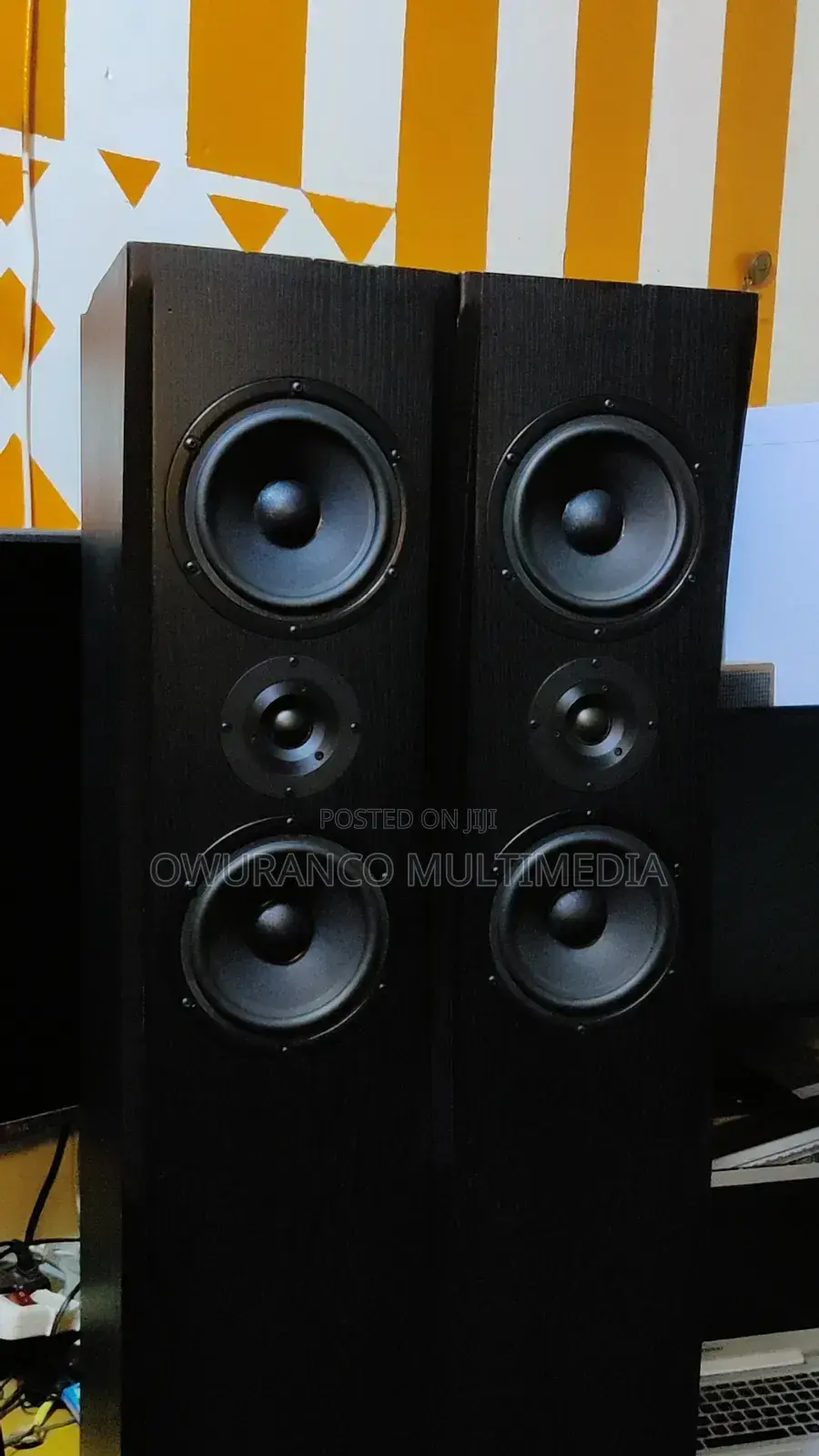 Fine Arts 30- Powerful Floor Standing Speakers