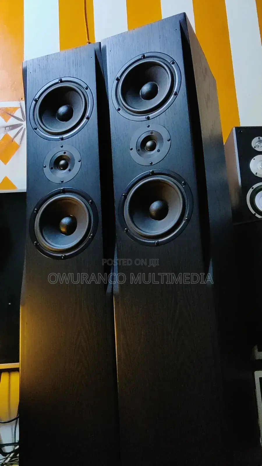 Fine Arts 30- Powerful Floor Standing Speakers