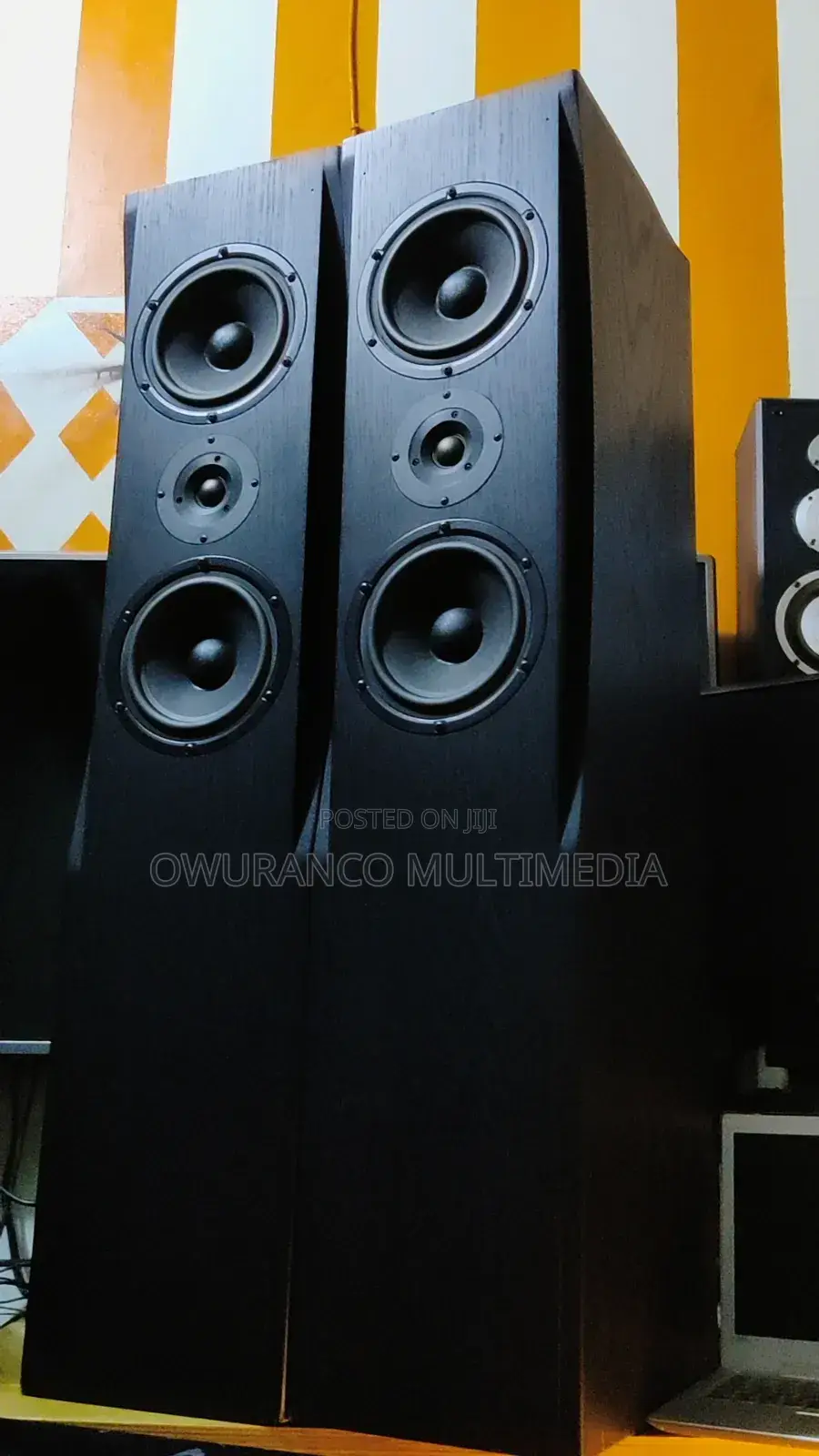 Fine Arts 30- Powerful Floor Standing Speakers