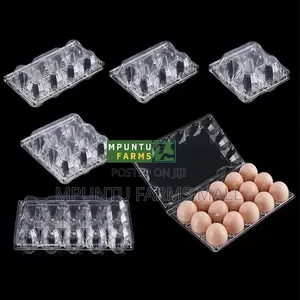 15 Holes Transparent Egg Crates