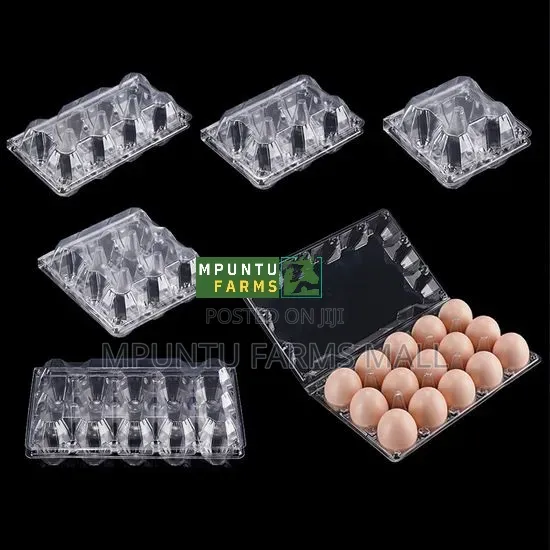 15 Holes Transparent Egg Crates