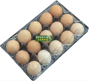 15 Holes Transparent Egg Crates