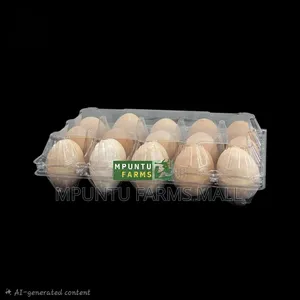 15 Holes Transparent Egg Crates