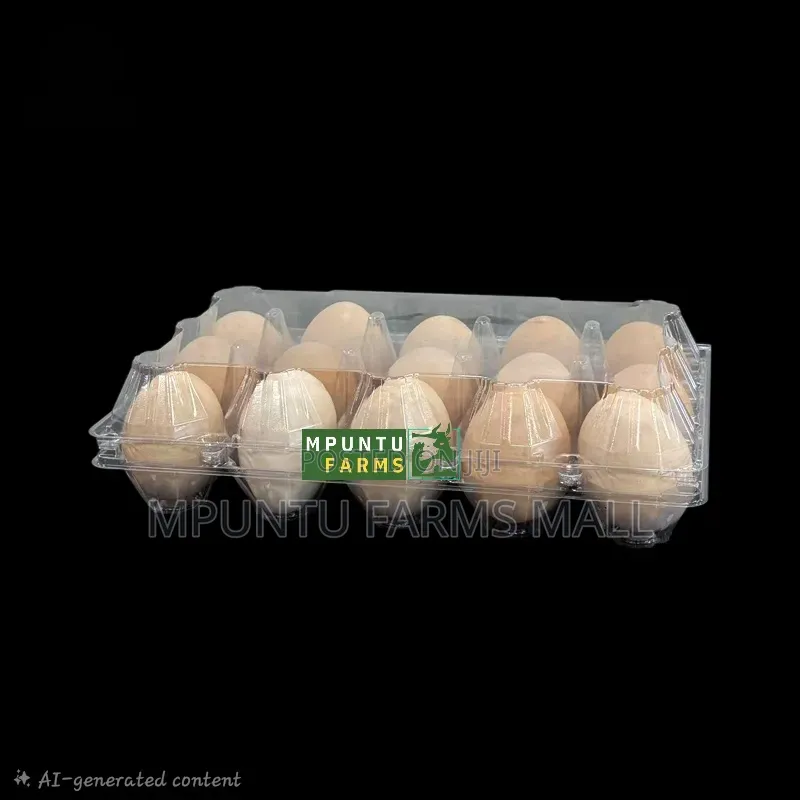 15 Holes Transparent Egg Crates