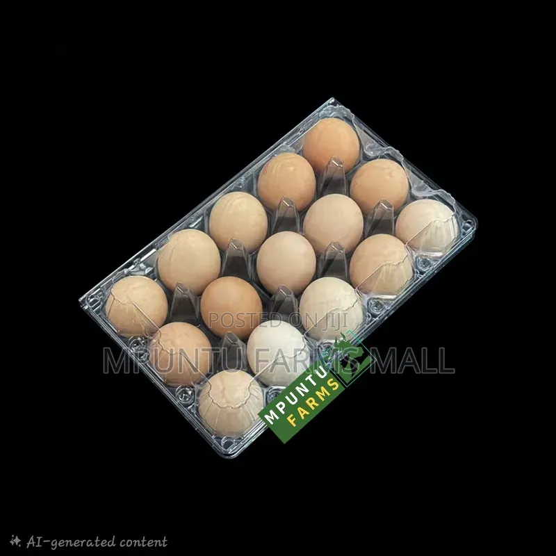 15 Holes Transparent Egg Crates