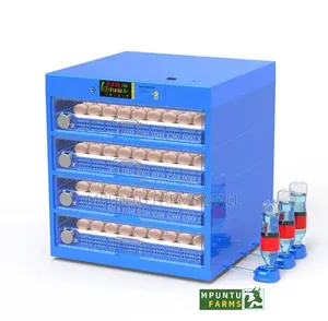 400 Eggs Capacity Dual Power Automatic Incubator