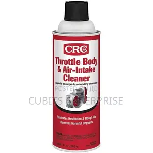 Throttle Body Cleaner