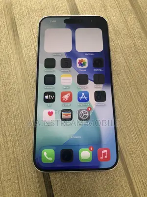 Apple iPhone 15 Pro Max 256 GB Gray