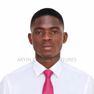 Mobile Money Agent