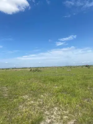 Estate Lands For Sale (Tsopoli Genuine Full Plots) - Call Now !