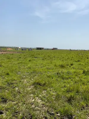A Rare Chance to Own Land in Bueko