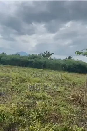 35 Acres Flood-Free Land in Adeiso Near Accra-Kumasi Expressway