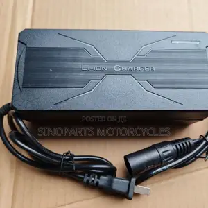 Electric Bike Lithium Battery Charger Fast Smart Charger