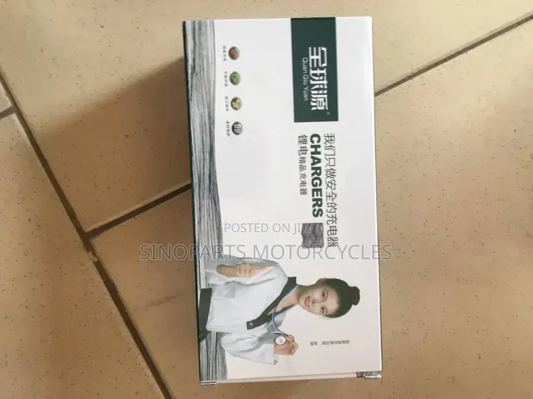 Electric Bike Lithium Battery Charger Fast Smart Charger