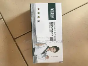 Electric Bike Lithium Battery Charger Fast Smart Charger