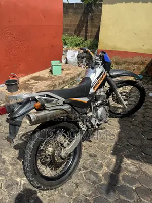 Kawasaki 2020 Silver